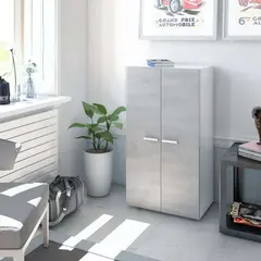 Buy Zuldy GREY and WHITE Shoe Cupboard