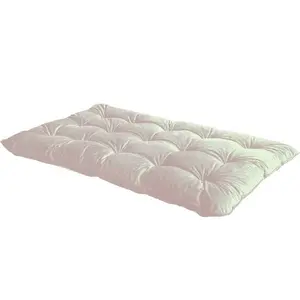 Buy Futon Mattress Single Beige, Colour: Beige
