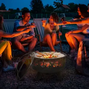 Buy Outsunny 2-in-1 Outdoor Fire Pit with Cooking Grate Steel BBQ Grill Bowl Heater with Spark Screen Cover, Fire Poker for Backyard Bonfire Patio