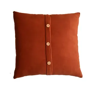 Buy Quinn Cushion Set of 2 - Rust