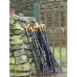 Buy Irish Traditional Blackthorn Walking Stick for Leisure or collection purposes.