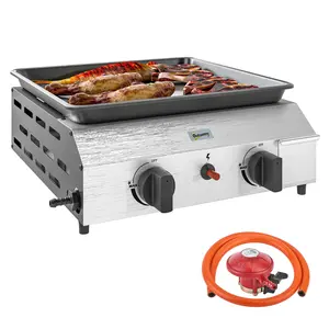 Buy Two Burner Portable Gas Grill