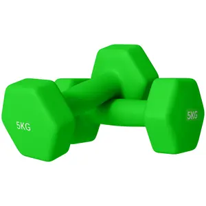 Buy 2 x 5kg Hexagonal Dumbbells Weights Set with Non-Slip Grip for Home Gym Workout, Green