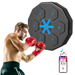 Buy Music Boxing Machine with Bluetooth Connection and LED Light Smart, Wall Mounted for Punching Beat Boxing Training