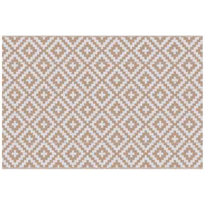 Buy Reversible Outdoor RV Rug, Patio Floor Mat, 274 x 182 cm Plastic Straw Rug for Garden, terrace, Beach, Camping, Coffee & White