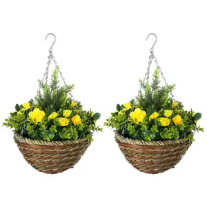 Buy Set of Two Hanging Lisianthus Flower Pots - Yellow/Green