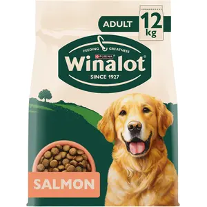 Buy WINALOT Adult Salmon Dry Dog Food 12kg