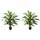 Buy Set of Two Artificial Dracaena Plants
