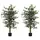 Buy Set of Two Artificial Ficus Trees