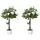 Buy Set of 2 Artificial Plants White Rose Floral in Pot, Fake Plants for Home Indoor Outdoor Decor, 90cm
