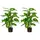 Buy 2 PCs Artificial Evergreen Tree Fake Decorative Plant in Nursery Pot for Indoor Outdoor DÃ©cor, Green