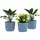 Buy Set of Three Ð¤22cm Planters - Blue