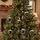 Buy 30-Piece White-Tipped Real Pine Cone Ornament Set