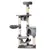Buy Cat Tree for Indoor Cats Condo Tower Multi-level Height 150CM  Kittens Activity Stand House with Toys & Various Scratching Posts