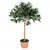Buy 3ft Artificial Olive Tree Indoor Plant Greenery for Home Office Potted in An Orange Pot