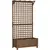 Buy Raised Bed with Drainage Holes, Wood Planter with Trellis for Climbing Plants to Grow Vegetables, Flowers, Brown