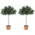Buy 3ft Artificial Olive Tree Indoor Plant Greenery for Home Office Potted in An Orange Pot Set of 2