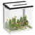 Buy 13L Glass Aquarium Fish Tank with Filter, LED Lighting, for Betta, Guppy, Mini Parrot Fish, Shrimp, 29 x 20 x 30.5cm