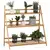 Buy 3-Tier Plant Stand, Plant Shelf Rack, Folding Bamboo Display Stand, 98x37x96.5cm, Natural