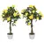 Buy Set of 2 Artificial Plants White Rose Floral in Pot, Fake Plants for Home Indoor Outdoor Decor, 90cm, Yellow