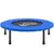 Buy HOMCOM 32" Mini Fitness Trampoline Home Gym Yoga Exercise Rebounder Indoor Outdoor Jumper with Safety Pad, Support Up to 100 KG, Blue and Black