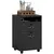 Buy HOMCOM Filing Cabinet, Mobile File Cabinet with 2 Lockable Drawers, Office Home Organiser on Wheels for A4, Letter-Size File Folders, Mobile Printer with Open Shelf, Black