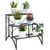 Buy Three-Tier Decorative Metal Plant Stand - Black