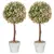 Buy Set of 2 Decorative Artificial Plants, Murraya Flowers in Pot, Fake Plants for Home Indoor outdoor Decor, 60cm, Cream White