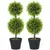 Buy Set of 2 Decorative Artificial Trees, Topiary Ball-shaped Boxwood Trees in Pot, Fake Plants for Home Indoor outdoor Decor, 60cm, 2 Tree Balls