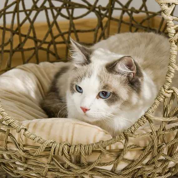 Buy Wicker Cat Bed Elevated Rattan Kitten Basket Pet Den. House Cozy Cave with Soft Cushion О¦48 x 52cm Brown, 8 image