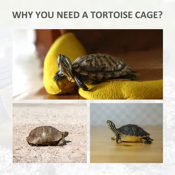Buy 94 cm Wooden Tortoise House Turtle Terrarium/ Small Reptile Enclosure with Two Room Design, Natural, 7 image
