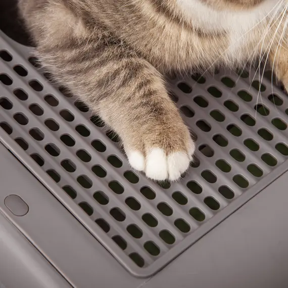 Buy Cat Litter Box Portable Pet Toilet Fully Enclosed Kitten Pan with Scoop Purple, 8 image