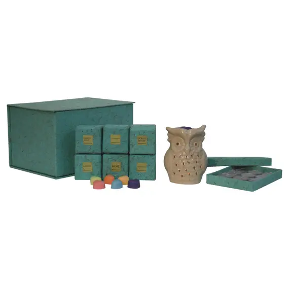 Buy Owl Wax Melter Set (Lavender, Jasmine, Citronella, Summer Tides, Rose & Lemongrass), 12 image