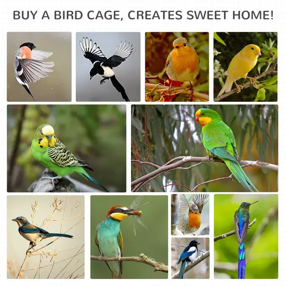 Buy PawHut Wooden Outdoor Bird Cage, Featuring a Large Play House with Removable Bottom Tray 4 Perch, 9 image
