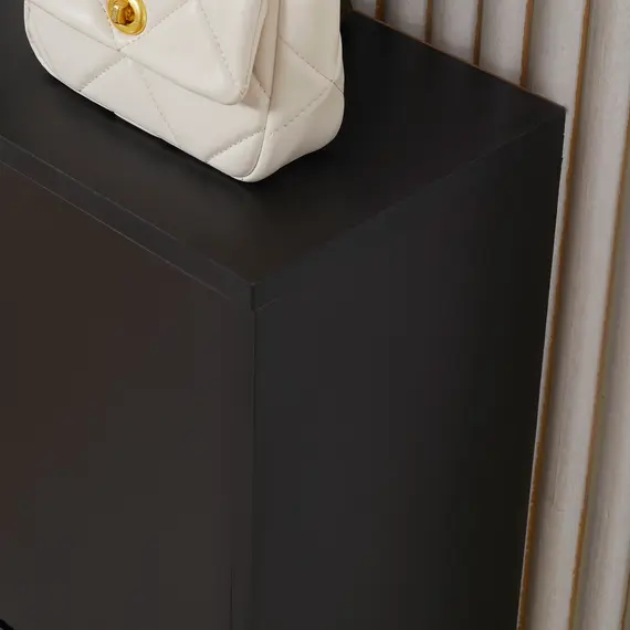 Buy 2 Drawer Shoe Cabinet, Narrow Shoe Storage Cabinet with Flip Doors and Adjustable Shelves, Slim Shoe Cupboard for 12 Pairs of Shoes for Entryway, Hallway, Black, 8 image