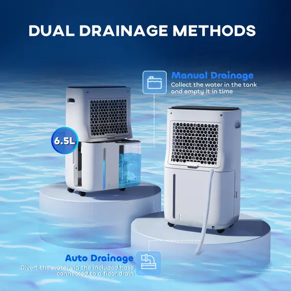 Buy 6500mL Portable Dehumidifier with Air Purifier Filter, 24H Timer, 4 Modes, 22L/Day, for Home Laundry Basement, 6 image