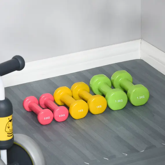 Buy 6Kg Dumbbell Set, Fitness Weight Set for Men and Women, Home Gym Workout, 2 image