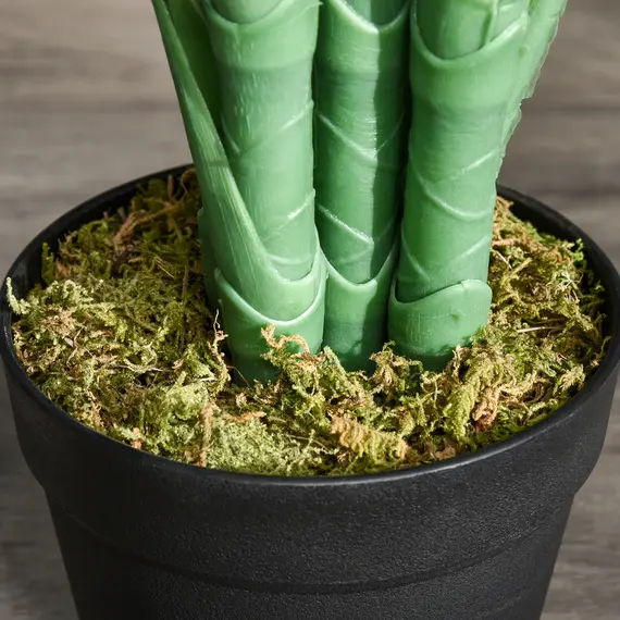 Buy 125cm/4FT Artificial Palm Plant Decorative Tree with Nursery Pot, Fake Plastic Indoor Outdoor Home Office DÃ©cor, Green, 8 image