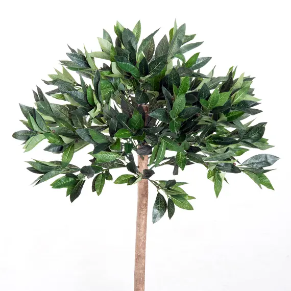 Buy 3ft Artificial Olive Tree Indoor Plant Greenery for Home Office Potted in An Orange Pot Set of 2, 8 image