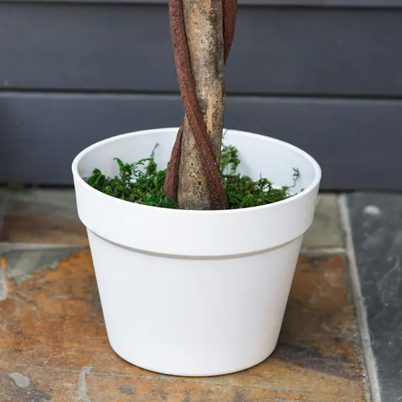 Buy Artificial Plants Pink Rose Floral in Pot, Fake Plants for Home Indoor Outdoor Decor, 90cm, 9 image