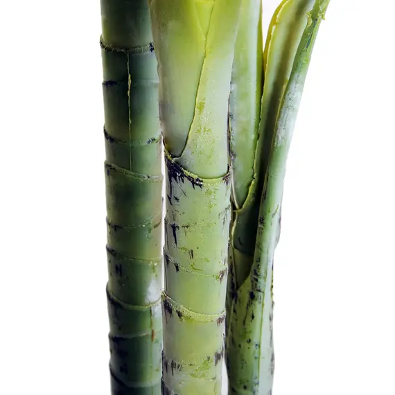 Buy Artificial Tree, 150cm Tropical Palm Tree, Fake Plants in Pots, Faux Green Plant for Indoor Outdoor Home Office Living Room Decoration, 8 image
