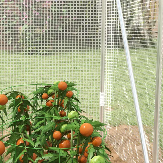 Buy Polytunnel Greenhouse Walk-in Grow House with UV-resistant PE Cover, Door and Galvanised Steel Frame, 2 x 2 x 2m, White, 9 image