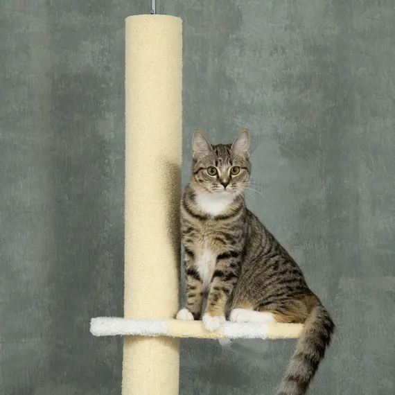 Buy 260cm Adjustable Floor-To-Ceiling Cat Tree w/ Anti-Tipping Kit, Toy Ball, 8 image