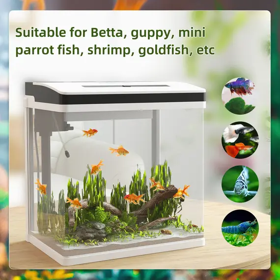 Buy 28L Glass Aquarium Fish Tank with Filter, LED Lighting, for Betta, Guppy, Mini Parrot Fish, Shrimp, 38 x 26 x 39.5cm, 4 image