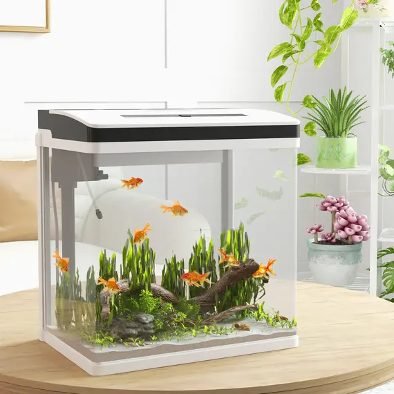 Buy 28L Glass Aquarium Fish Tank with Filter, LED Lighting, for Betta, Guppy, Mini Parrot Fish, Shrimp, 38 x 26 x 39.5cm, 2 image