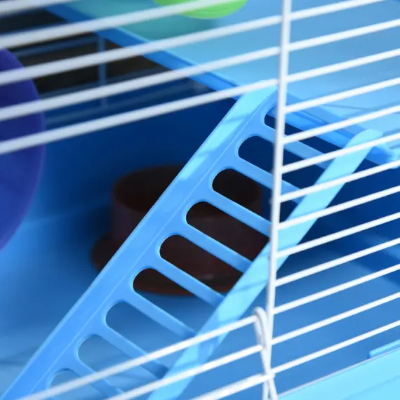 Buy 2 Tier Hamster Cage, Gerbil Cage with Handle, Exercise Wheels, Tunnel, Tube, Water Bottle, Dishes, Ladder, for Dwarf, Blue, 9 image