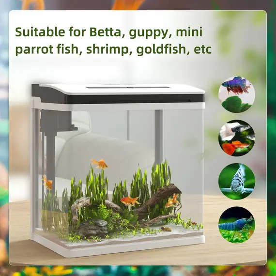 Buy 13L Glass Aquarium Fish Tank with Filter, LED Lighting, for Betta, Guppy, Mini Parrot Fish, Shrimp, 29 x 20 x 30.5cm, 4 image