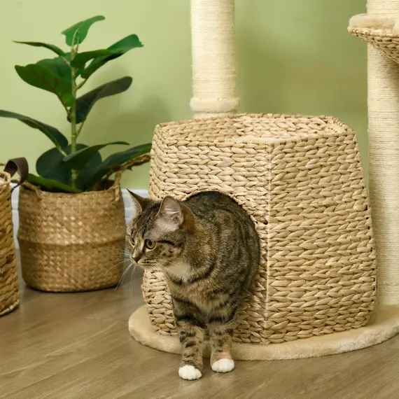 Buy Cat Tree Activity Centre, with Cattail, Bed, Cat House, Sisal Post, Ball - Natural Tone, 8 image