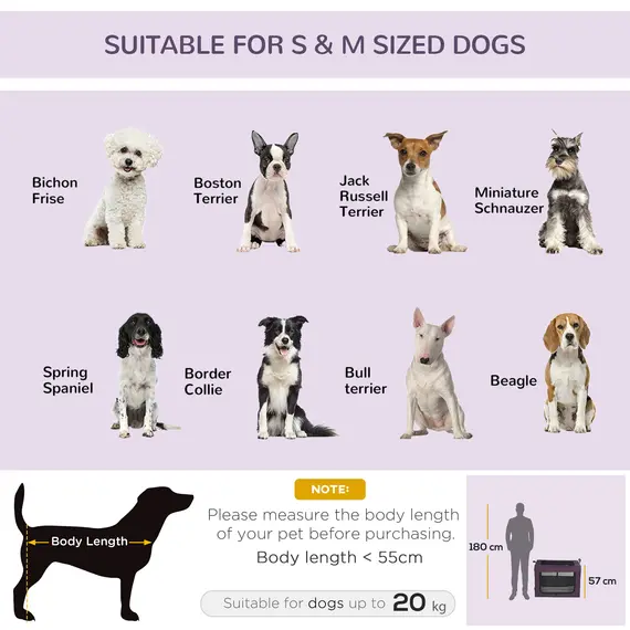 Buy 80cm Pet Carrier, with Cushion, for Small and Medium Dogs - Purple, 5 image