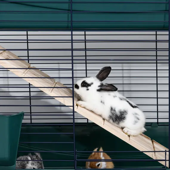 Buy 2-Story Large Small Animal Cage w/ Accessories for Chinchillas Puppy Guinea Pig, 8 image